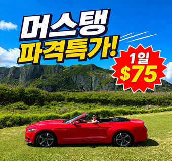 [파격 할인] 머스탱 *색 지정 가능*