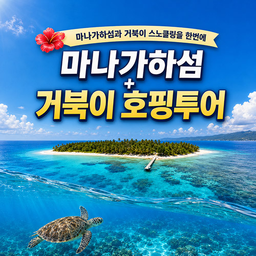 마나가하섬+거북이 호핑투어