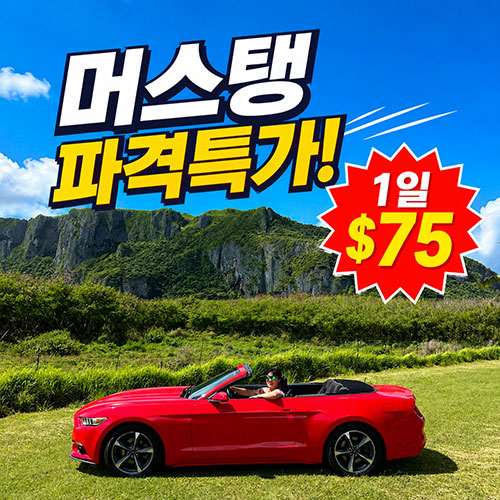 [파격 할인] 머스탱 *색 지정 가능*