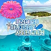 마나가하섬+패러세일링+씨워커