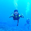 체험 스쿠버다이빙