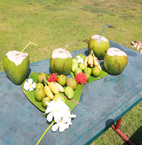 정글투어+선셋 디너 크루즈