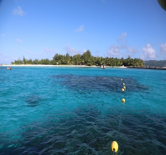 사이판 마나가하섬 투어 완벽 가이드: 환경세부터 준비물까지 총정리