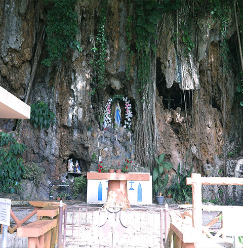 정글투어+선셋 디너 크루즈