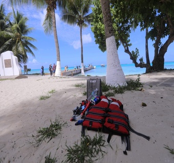 사이판 거북이 호핑투어 완벽 가이드: 90% 확률로 바다거북 만나기