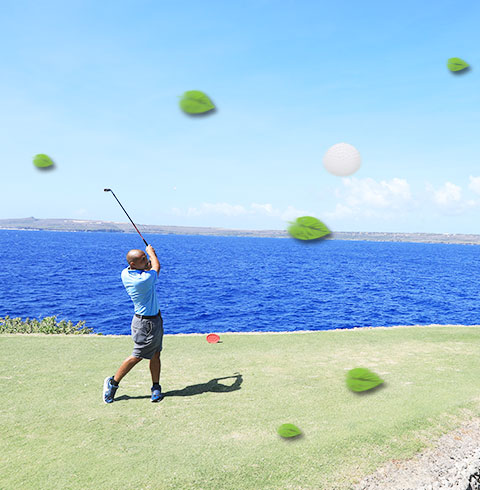 라오라오베이 골프투어