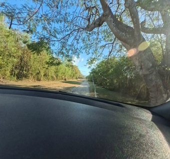 사이판 남부투어 완벽 가이드: 숨은 명소부터 실용 팁까지