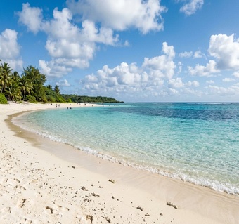 사이판PIC 골드패스 본전 뽑기! 식당별 예약 전략과 메뉴 활용법