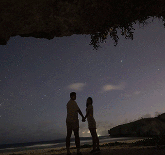 래더비치 별빛투어 