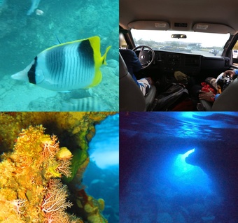 사이판 그로토 스쿠버다이빙 완벽 가이드  신비로운 푸른 동굴에서 만나는 환상적인 수중 세계