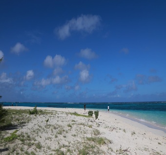 마나가하섬스노쿨링 사이판 여행 호핑투어 에메랄드빛 열대어